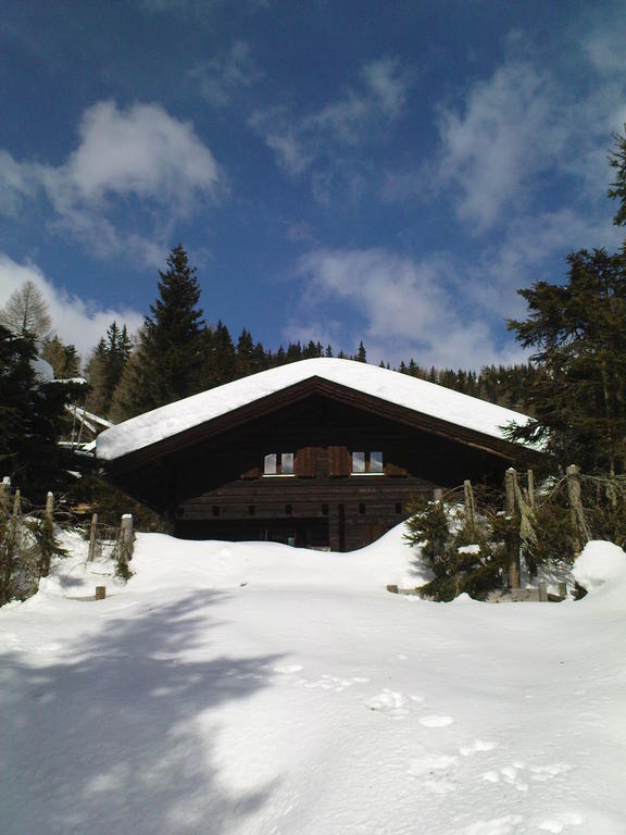 Gerlitzen-Huette Villa Treffen Oda fotoğraf